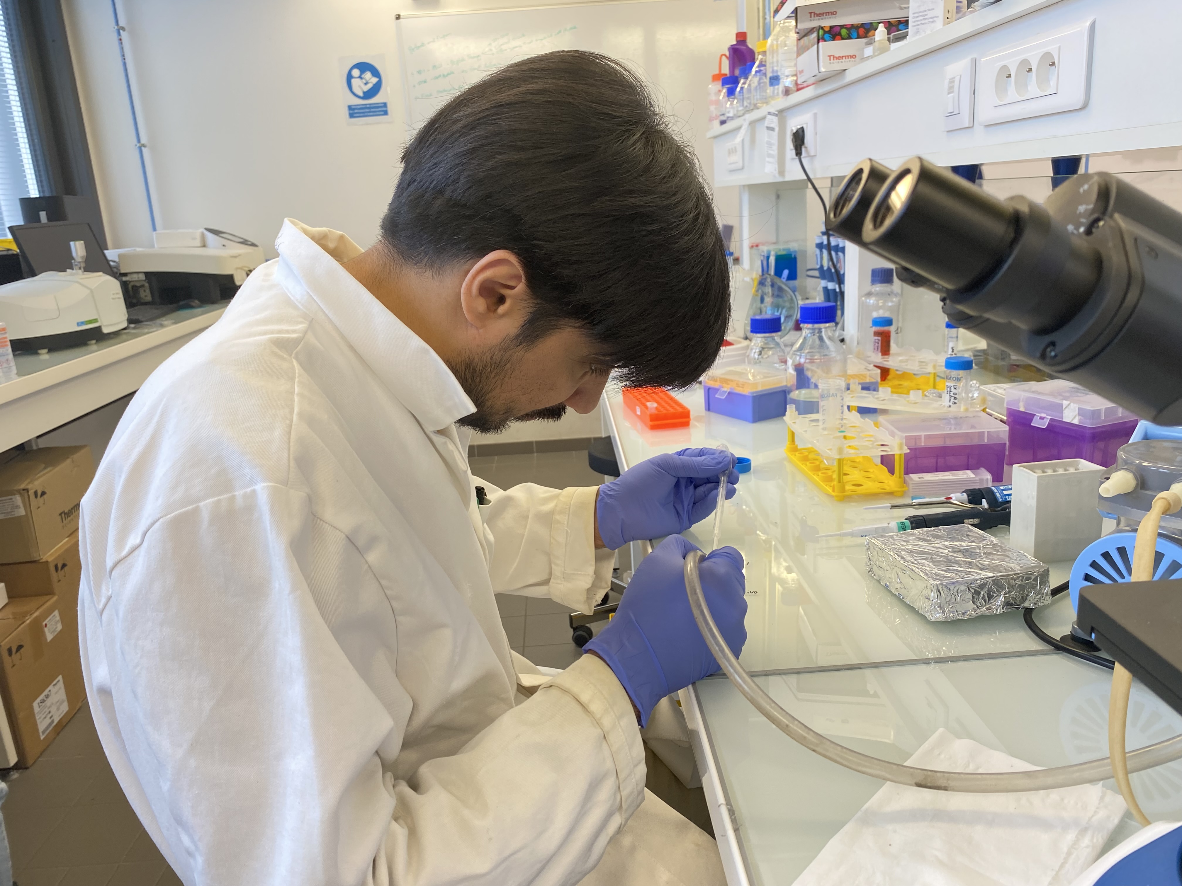 Bilal Mazhar, CSO — working at the microscope at Sorbonne Université
