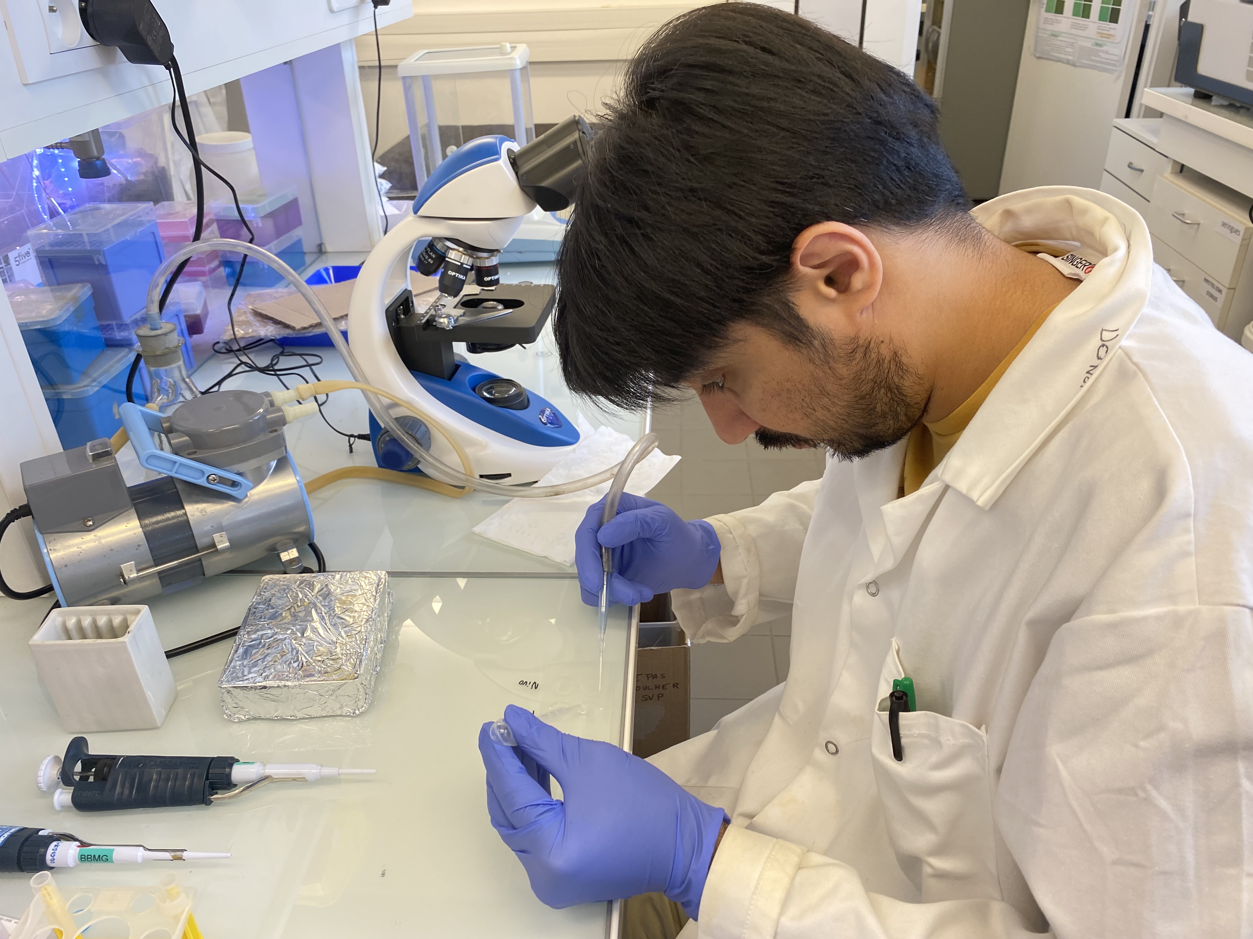 Bilal Mazhar in the Plantibodies laboratory