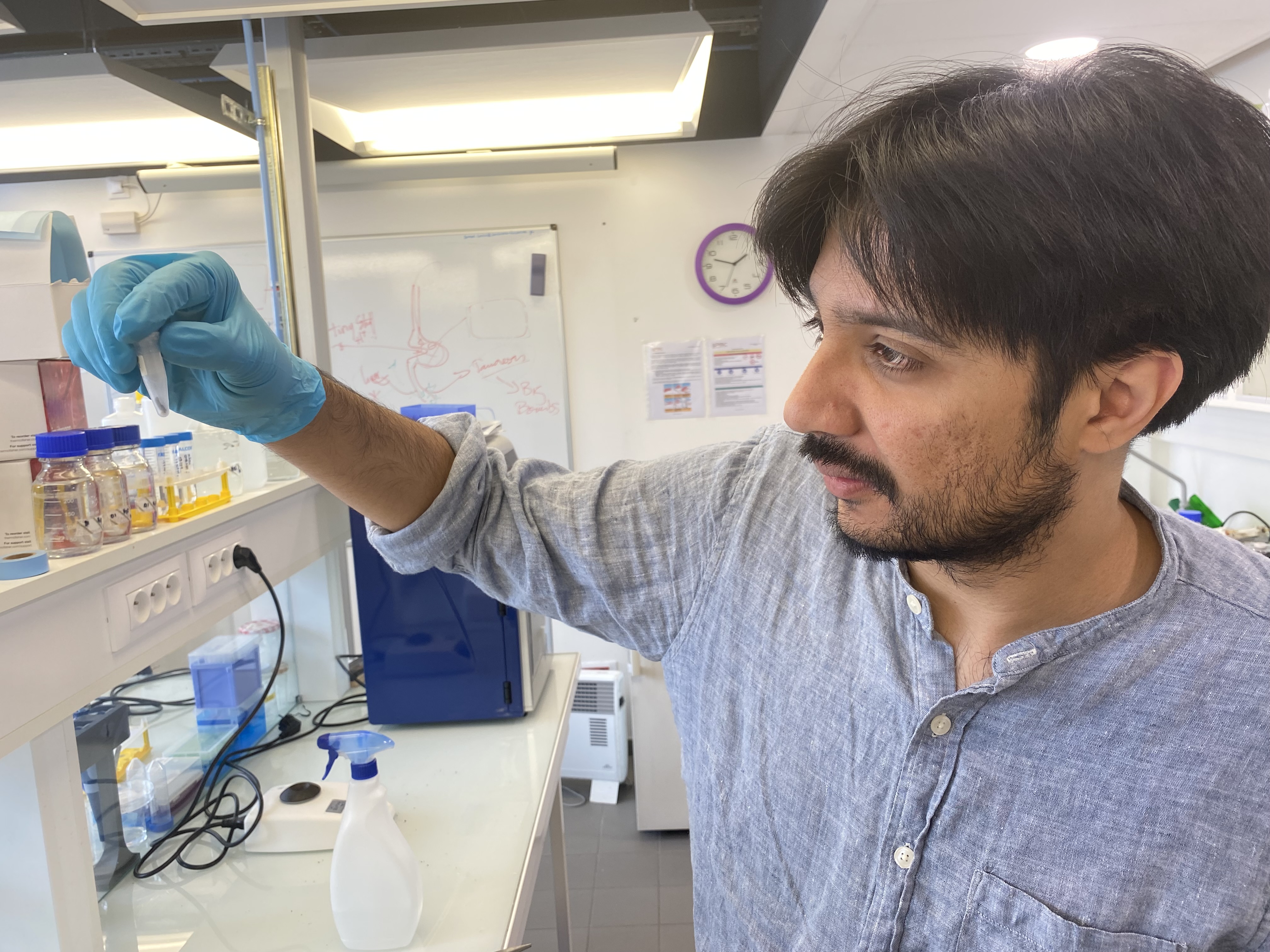 Bilal Mazhar, CSO & Co-founder