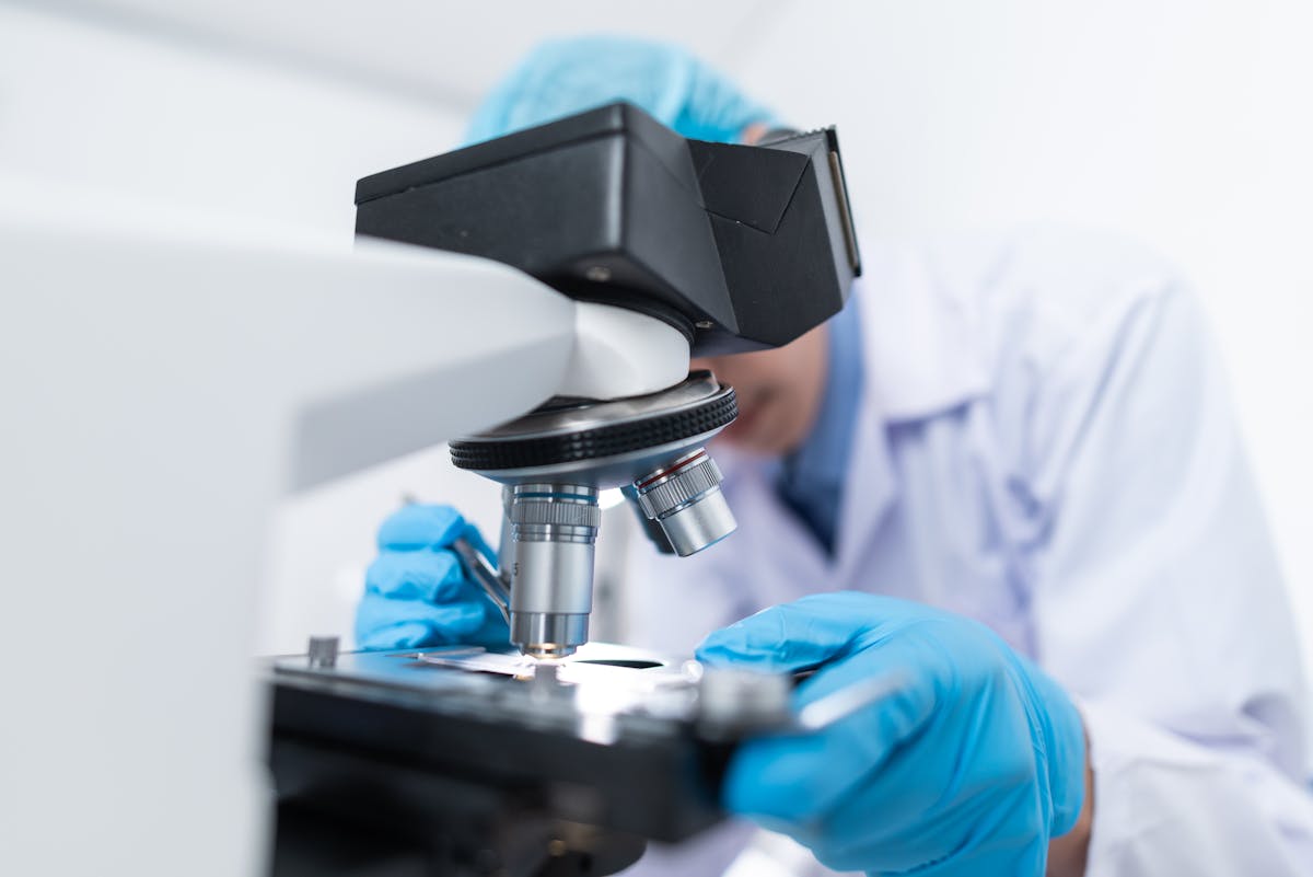 Preclinical research — microscope analysis